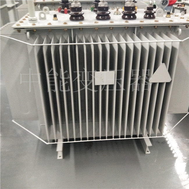 南阳S20-800KVA变压器